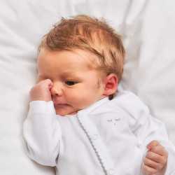 Livly Full snap body white/grey picot Livly Full snap body white/grey picot