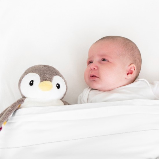 Nomierinoša naktslampiņa Phoebe pingvīns - Alilo