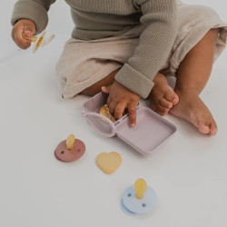 BIBS Pacifier Box - Sage BIBS Pacifier Box - Sage