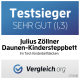 Pillow Daune Julius Zollner 40х60 cm - Julius Zollner