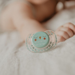 Symmetrical soother SX Pro 6/18M Bonhomia Mint Symmetrical soother SX Pro 6/18M Bonhomia Mint