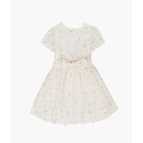 Kleita Livly Pristine Florals Alicia Dress
