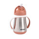 Metāliska Mācību Krūzīte Ar Caurulīti Beaba 250 Ml, Terracota
