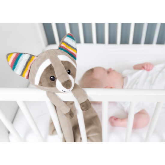 Robin- Baby comforter