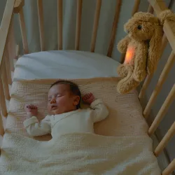 ZAZU RO – Muzikālā mīkstā rotaļlieta Zaķis, bēšs