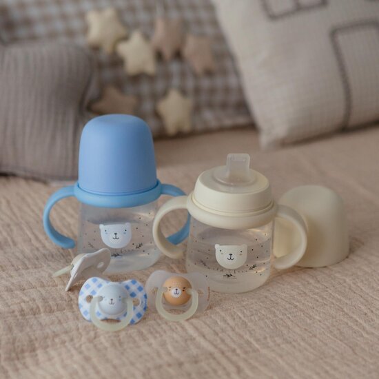 Fizioloģiskais silikona knupis Suavinex Night and Day 0-6 mēn. Wild&Free 2 gab