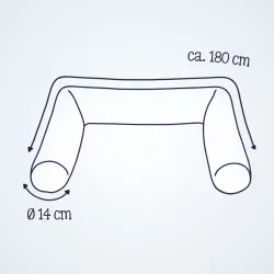 Jersey Bed Snake, "Stella"