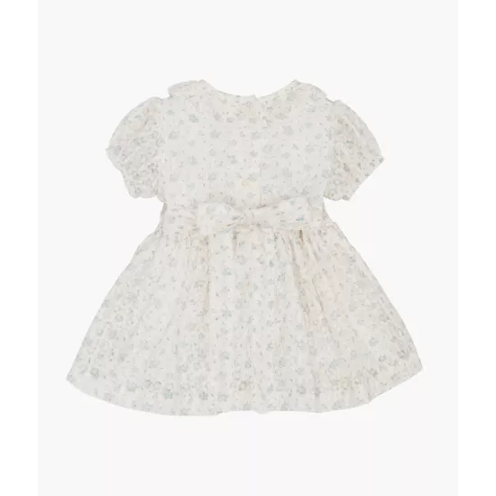 Kleita Livly Florals Rosie Dress