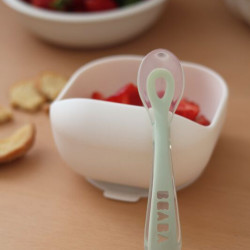 BEABA 2nd stage (8+) silicone spoon - Misty Green