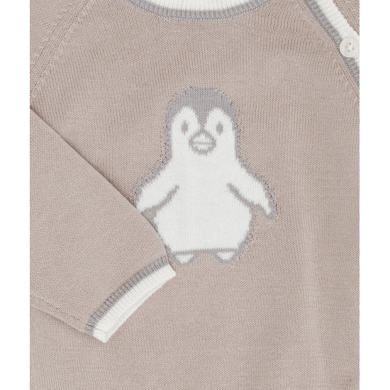 Penguin Envelope Set Kostīms